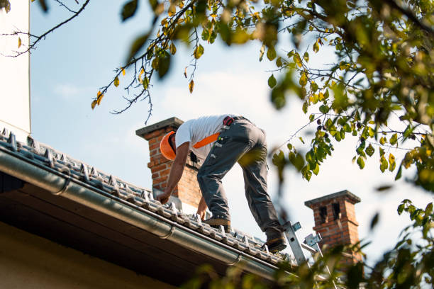 Best Roof Moss and Algae Removal  in Osceola, WI