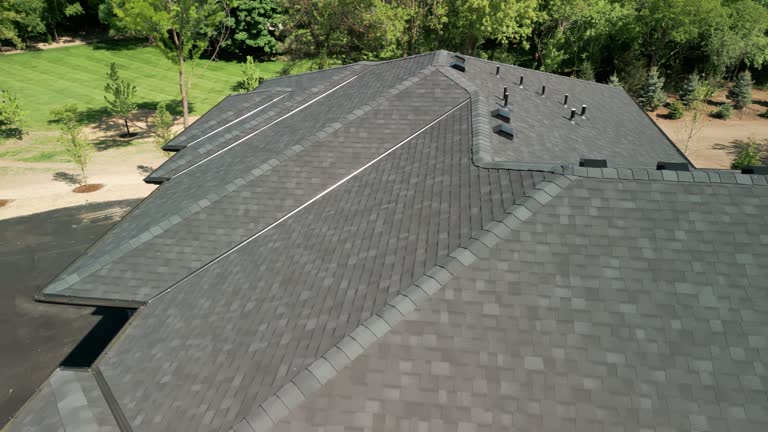 Best Asphalt Shingle Roofing  in Osceola, WI