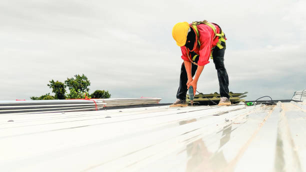Best Solar Panel Roofing Installation  in Osceola, WI