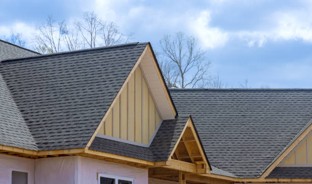 Best Asphalt Shingles Roofing  in Osceola, WI