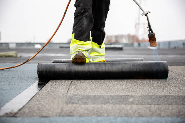 Best Roof Ventilation Installation  in Osceola, WI