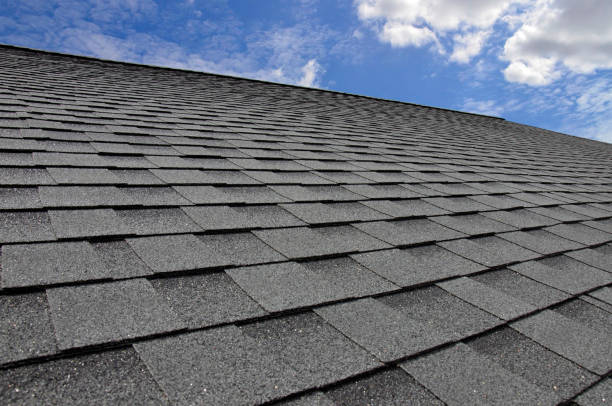 Best Roof Inspection  in Osceola, WI