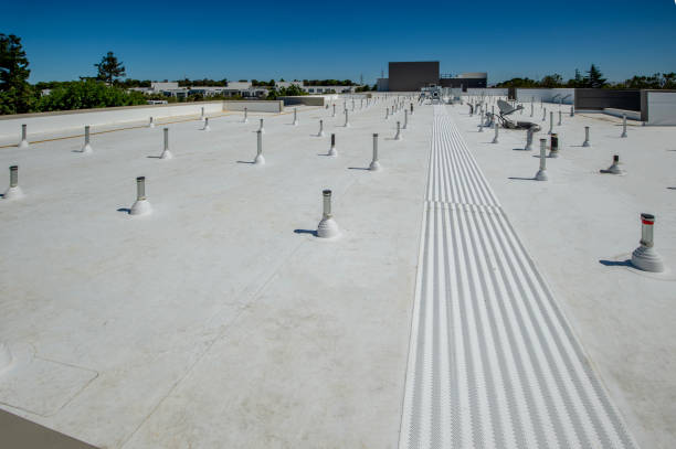 Best Metal Roofing Installation  in Osceola, WI